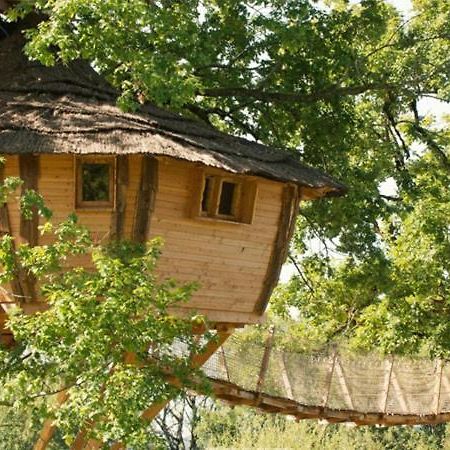 Cabane Perchee Dans Les Arbres Saint-Hilaire-en-Morvan Zewnętrze zdjęcie