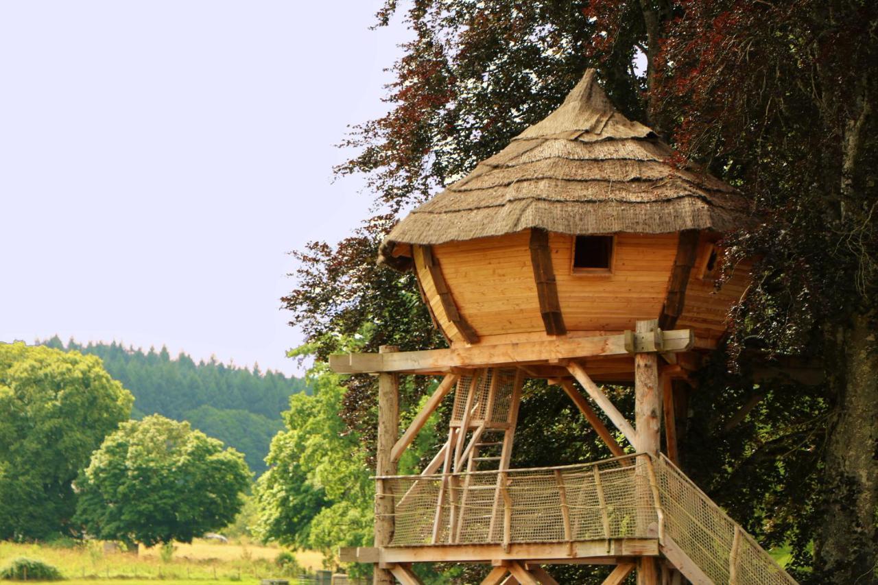 Cabane Perchee Dans Les Arbres Saint-Hilaire-en-Morvan Zewnętrze zdjęcie