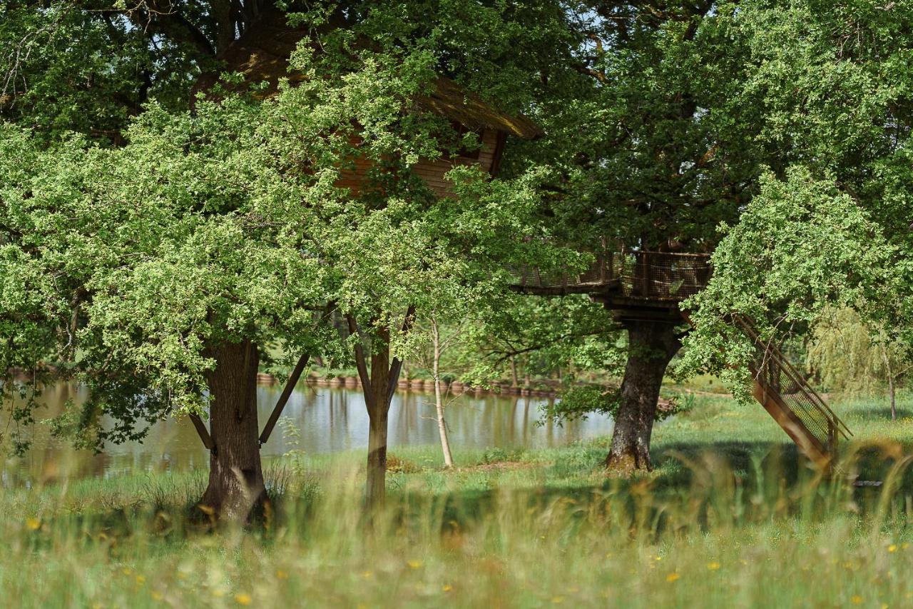 Cabane Perchee Dans Les Arbres Saint-Hilaire-en-Morvan Zewnętrze zdjęcie