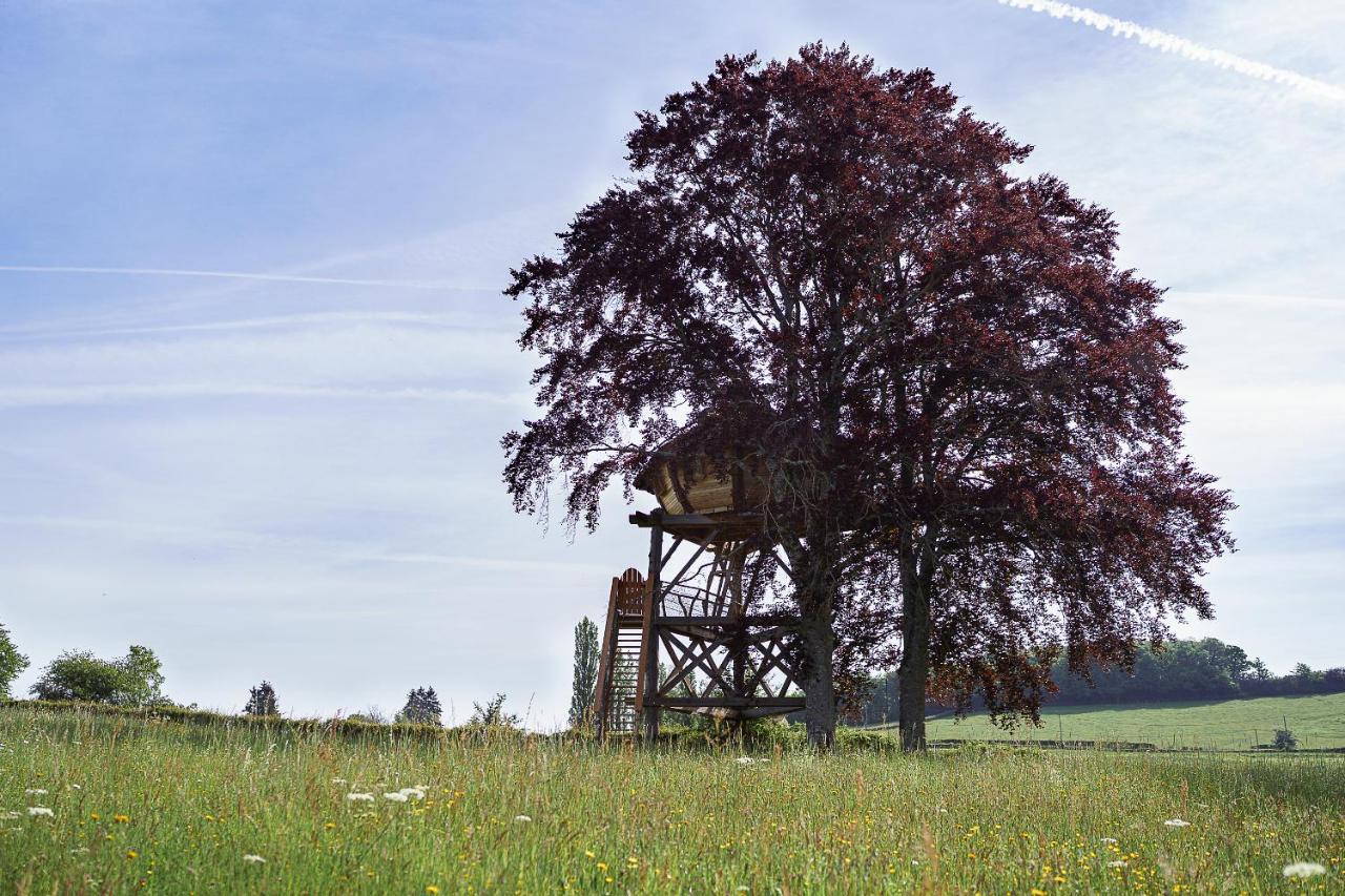 Cabane Perchee Dans Les Arbres Saint-Hilaire-en-Morvan Zewnętrze zdjęcie