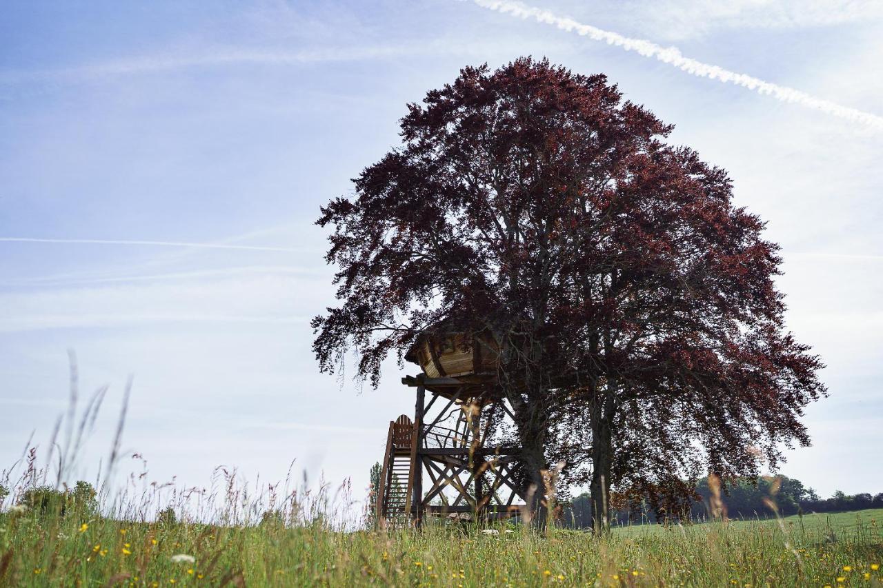 Cabane Perchee Dans Les Arbres Saint-Hilaire-en-Morvan Zewnętrze zdjęcie