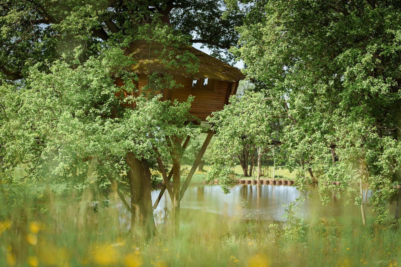 Cabane Perchee Dans Les Arbres Saint-Hilaire-en-Morvan Zewnętrze zdjęcie