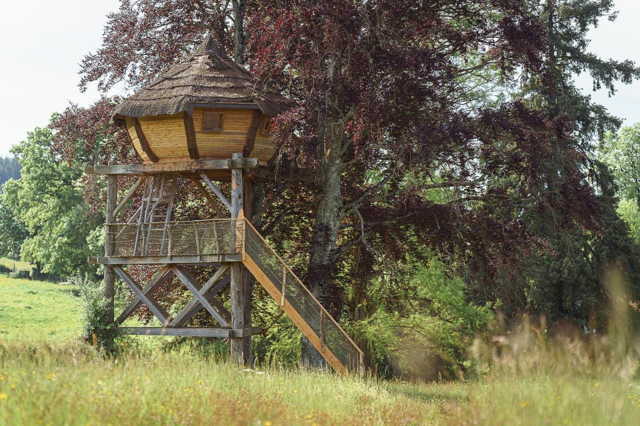 Cabane Perchee Dans Les Arbres Saint-Hilaire-en-Morvan Zewnętrze zdjęcie