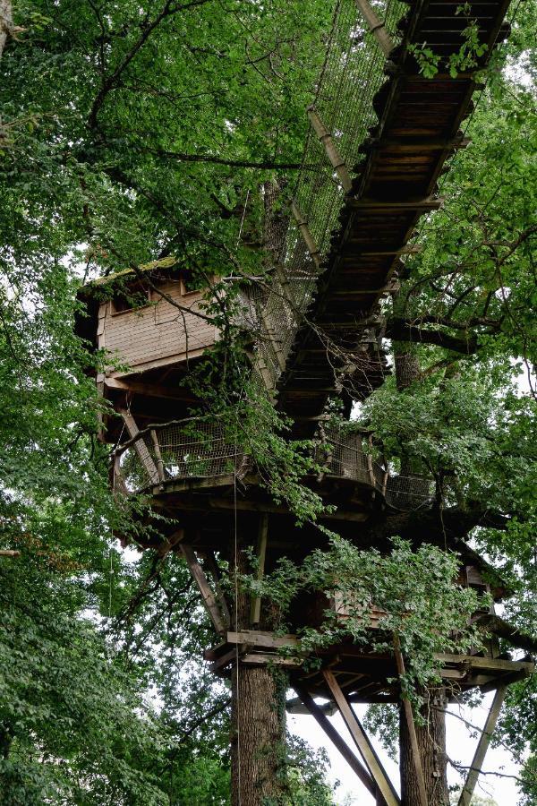 Cabane Perchee Dans Les Arbres Saint-Hilaire-en-Morvan Zewnętrze zdjęcie