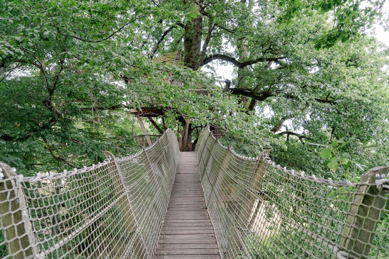 Cabane Perchee Dans Les Arbres Saint-Hilaire-en-Morvan Zewnętrze zdjęcie