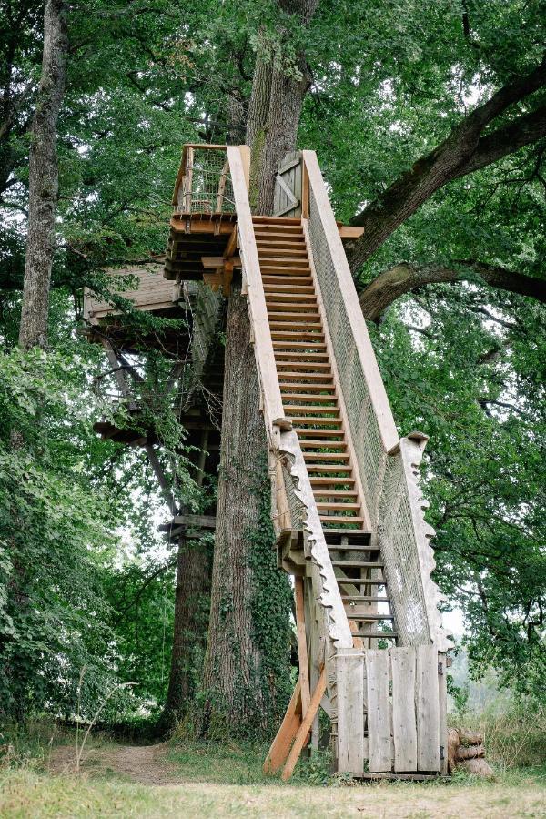 Cabane Perchee Dans Les Arbres Saint-Hilaire-en-Morvan Zewnętrze zdjęcie