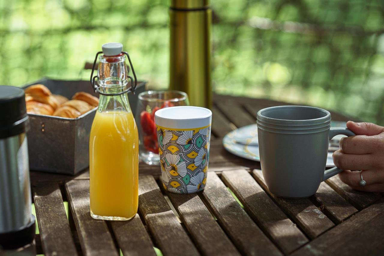 Cabane Perchee Dans Les Arbres Saint-Hilaire-en-Morvan Zewnętrze zdjęcie
