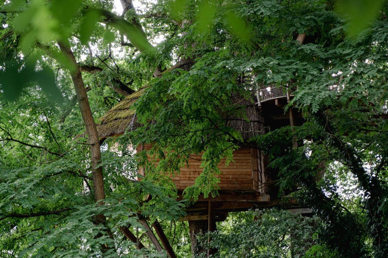 Cabane Perchee Dans Les Arbres Saint-Hilaire-en-Morvan Zewnętrze zdjęcie