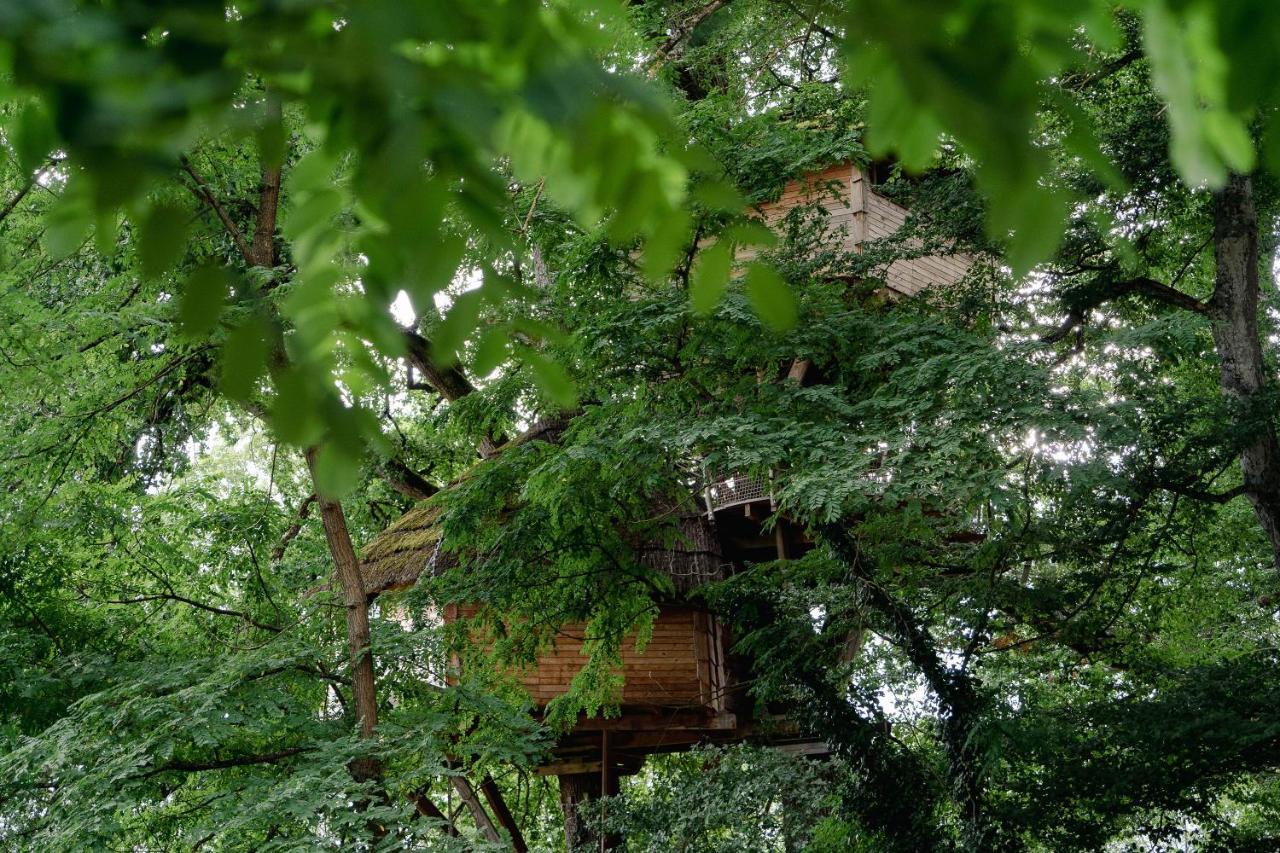 Cabane Perchee Dans Les Arbres Saint-Hilaire-en-Morvan Zewnętrze zdjęcie
